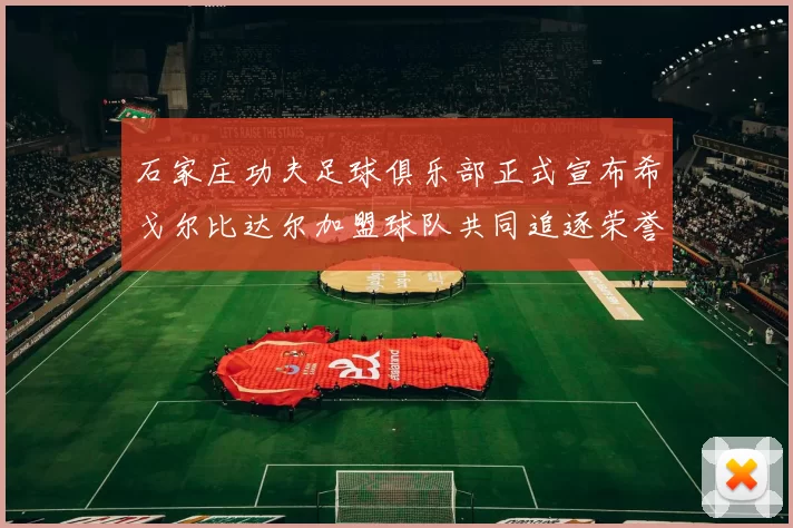 石家庄功夫足球俱乐部正式宣布希戈尔比达尔加盟球队共同追逐荣誉