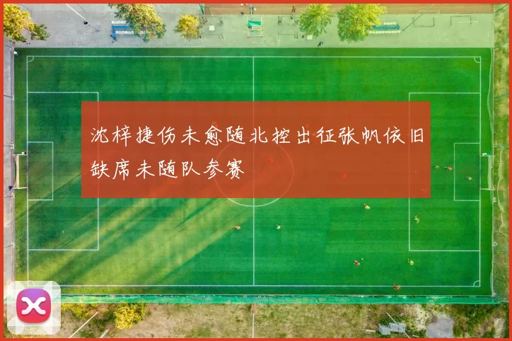 沈梓捷伤未愈随北控出征张帆依旧缺席未随队参赛